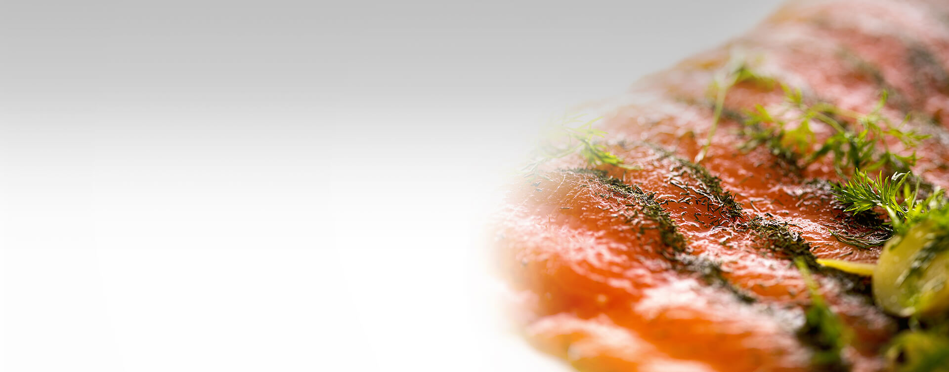 Marinated Salmon